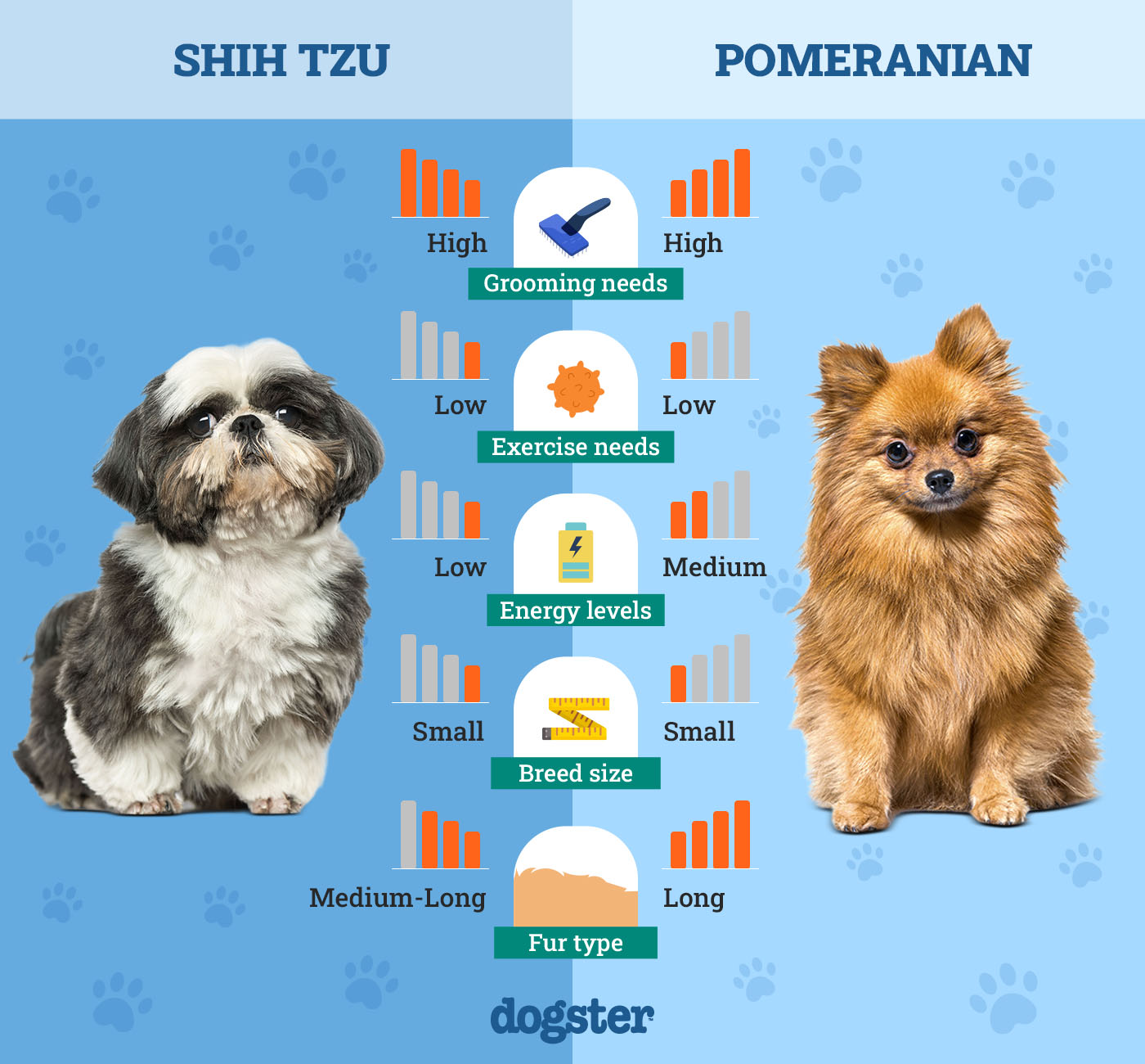 Dogster_Side by Side Comparison_Shih Tzu vs Pomeranian