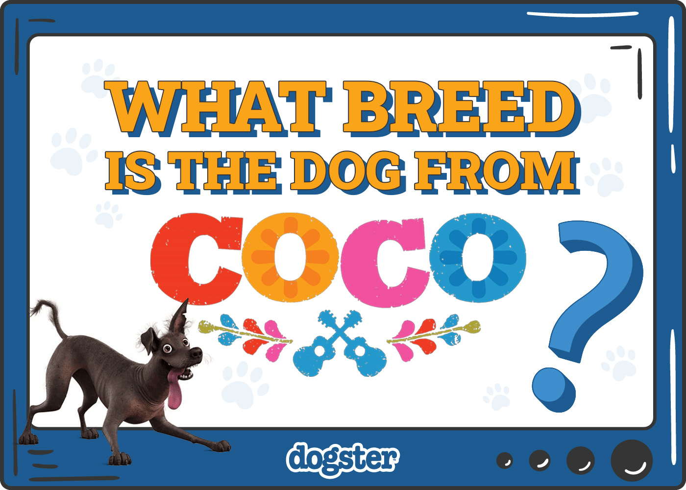 Dogster_What Breed Is the Dog From Coco