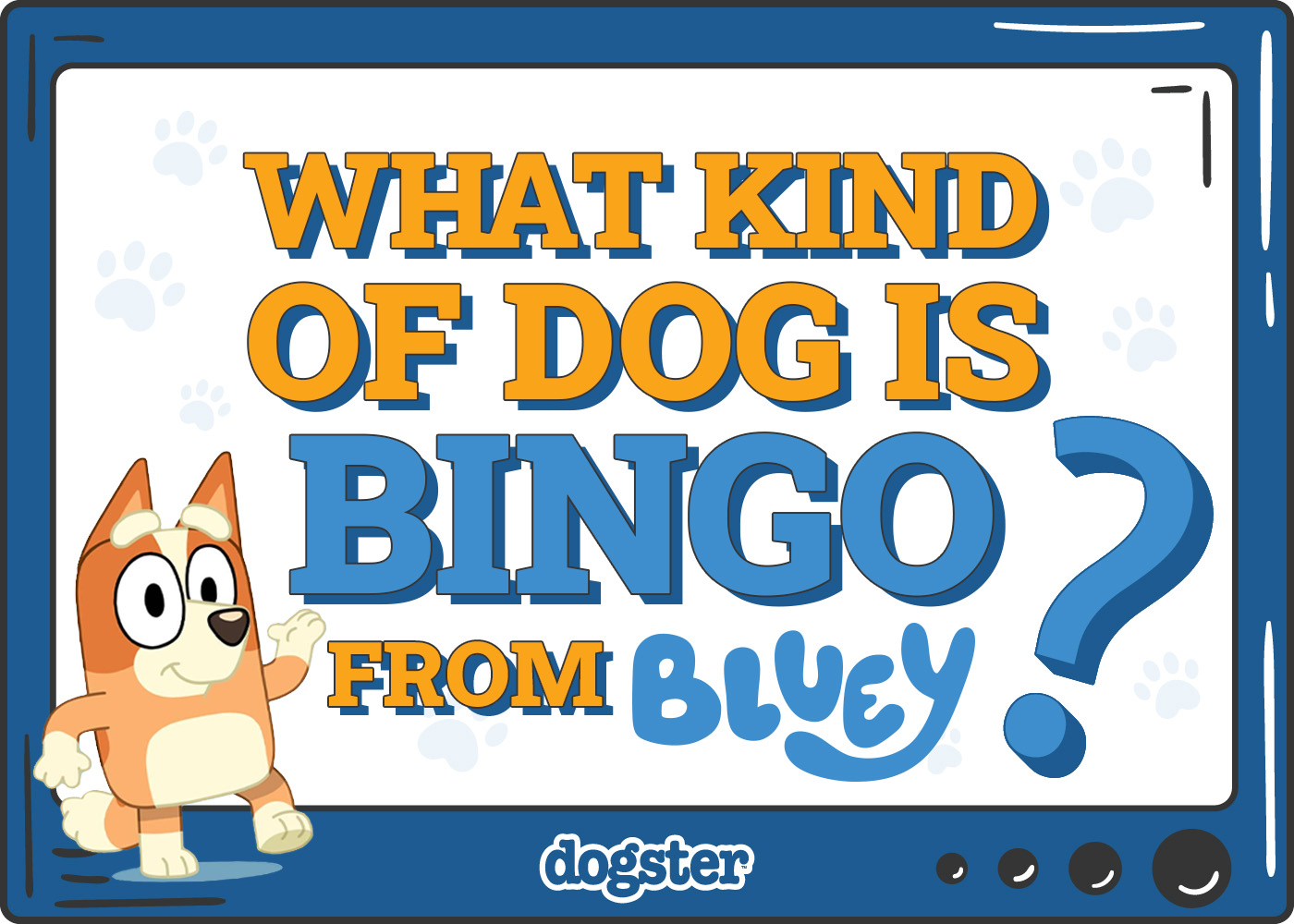 Dogster_What Kind of Dog is Bingo from Bluey