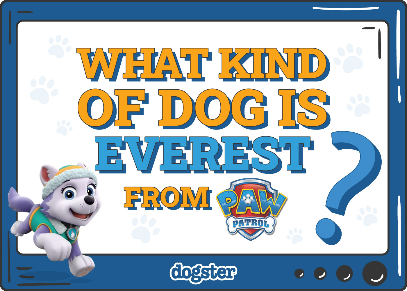 Dogster_What Kind of Dog is Everest from Paw Patrol