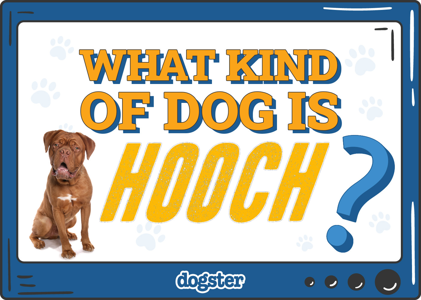 Dogster_What Kind of Dog is Hooch