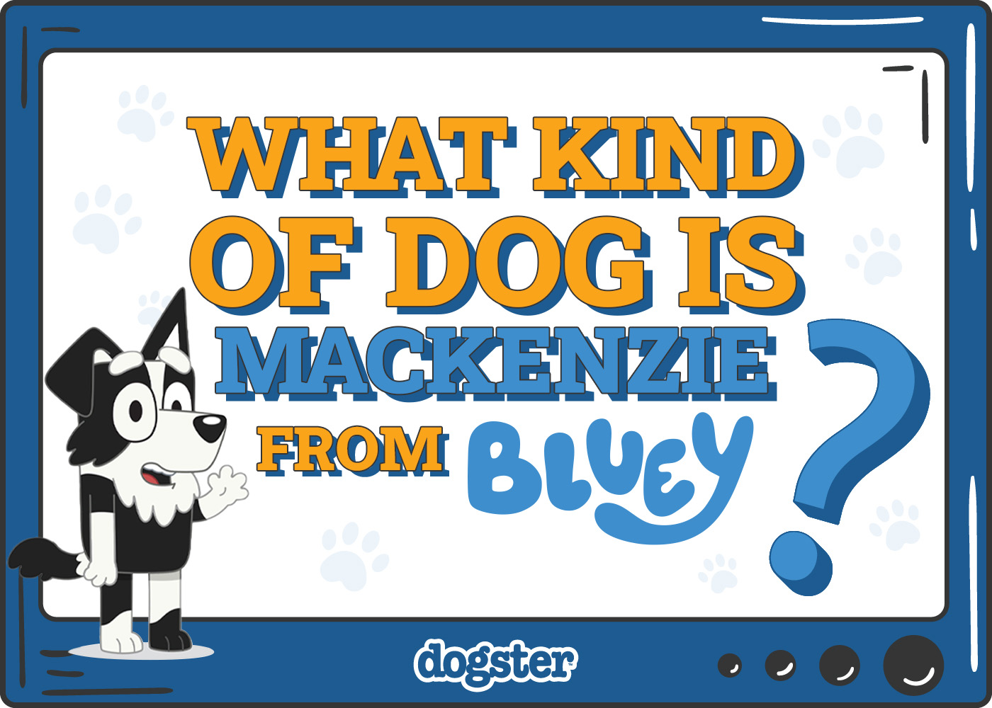 Dogster_What Kind of Dog is Mackenzie from Bluey