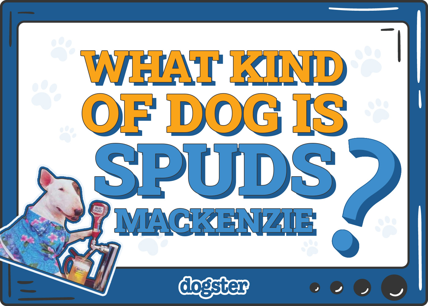 Dogster_What Kind of Dog is Spuds MacKenzie