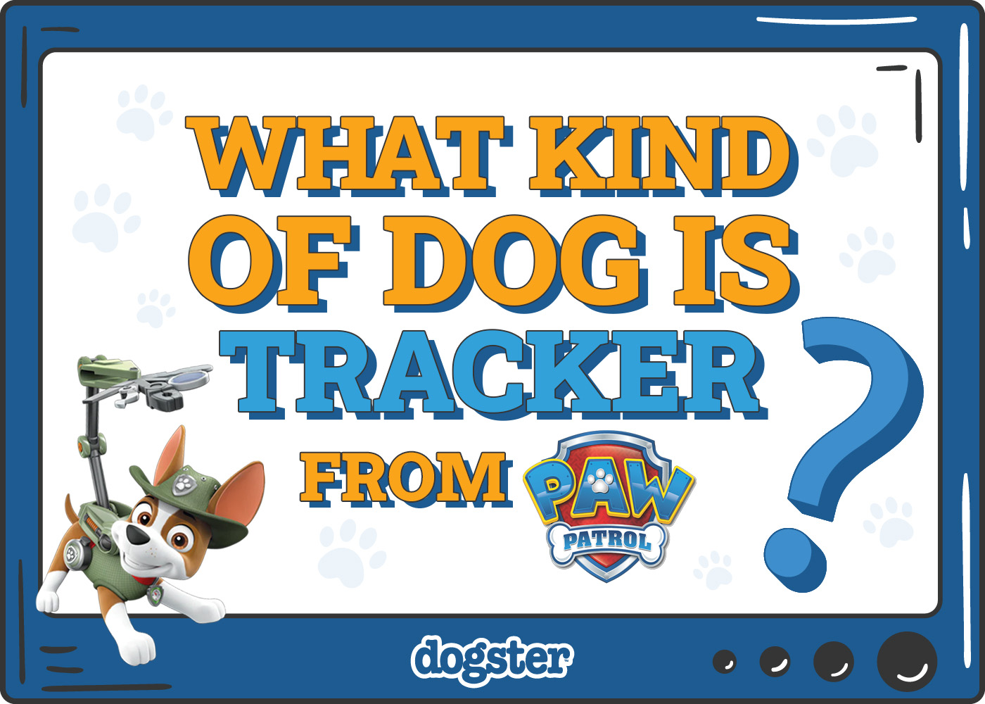Dogster_What Kind of Dog is Tracker from Paw Patrol