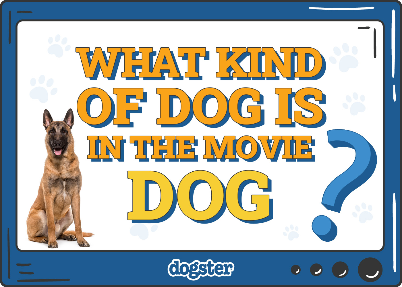 Dogster_What Kind of Dog is in the movie Dog