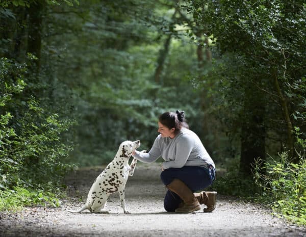 Woman training Dalmatian dog on forest path.