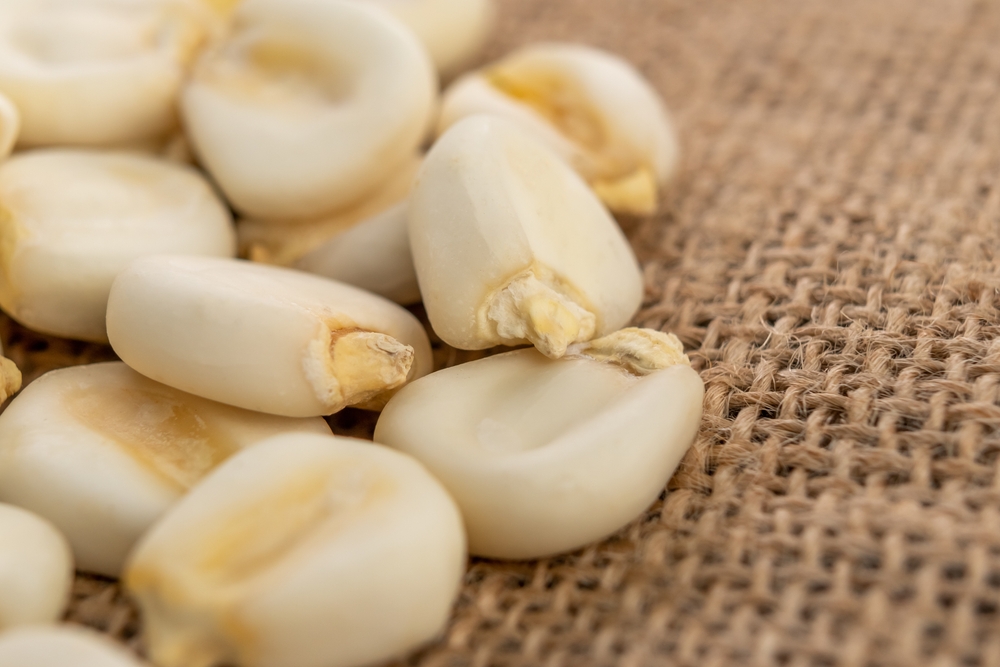 Hominy