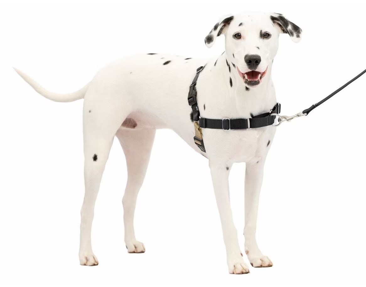 PetSafe Easy Walk Dog Harness