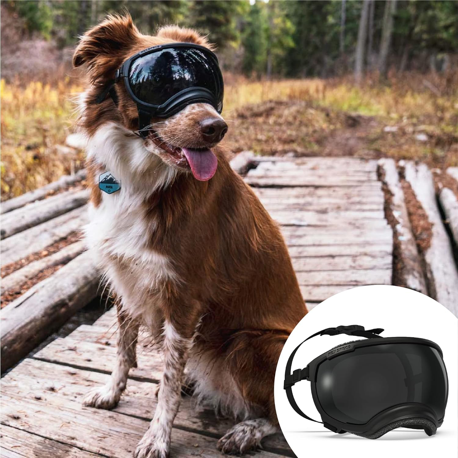 Rex Specs V2 Dog Goggles 