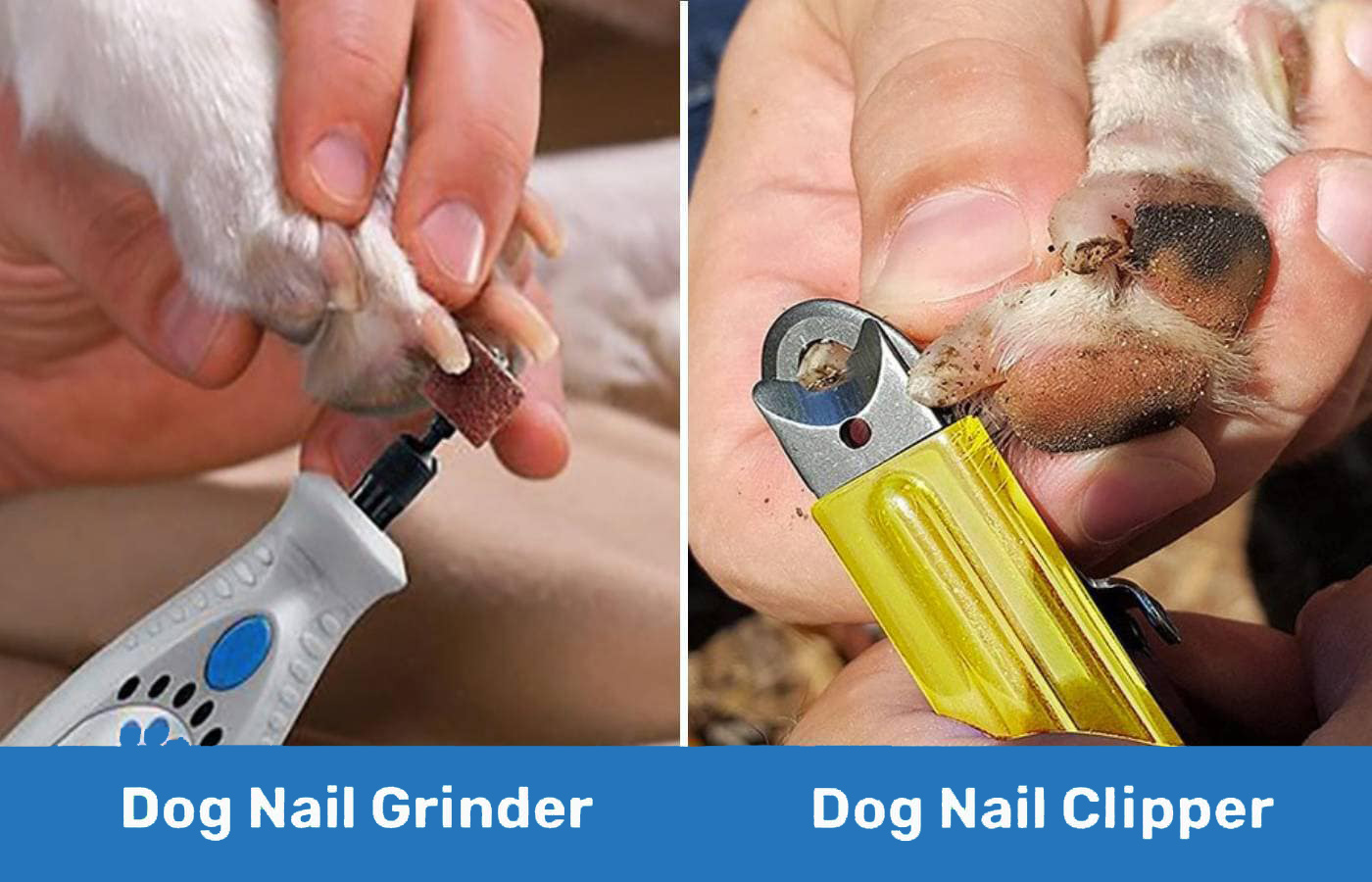 nail grinder vs clipper dogster