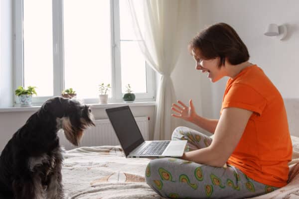 Astonished female watching media content online with a laptop sitting with little dog on a couch in the room in a house interior near the window. Amazing news and emotional surprise teenage girl