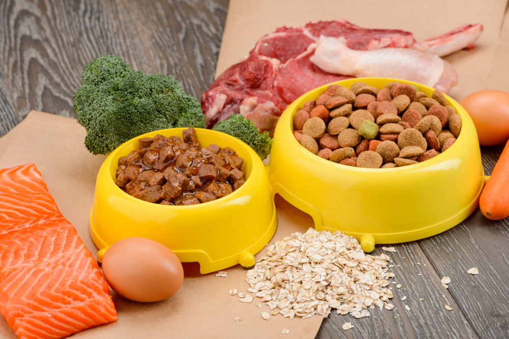 A bowl of dry food with raw meat, salmon, egg and broccoli
