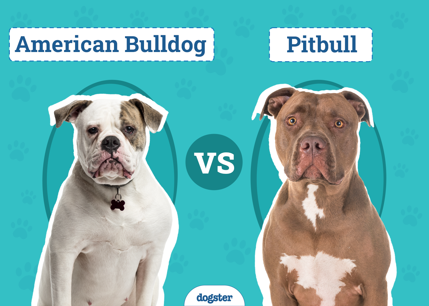 American Bulldog Umbrella American Bulldog Umbrella