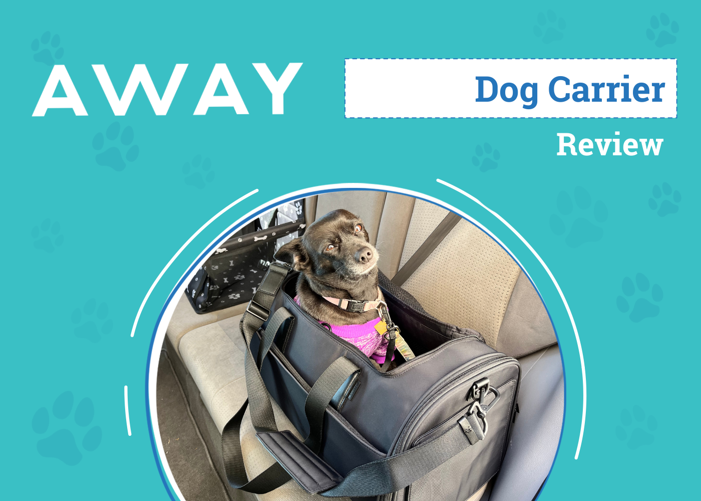 DOG_SAPR_Away Dog Carrier