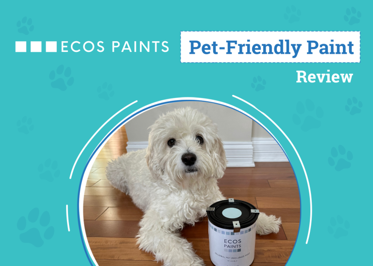 ECOS PetFriendly Paint Review 2024 An Expert's Breakdown Dogster