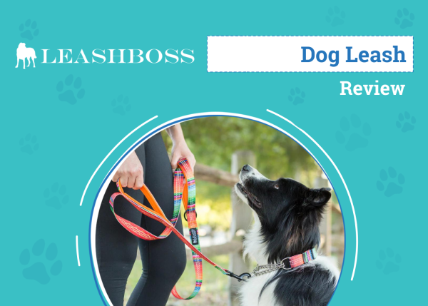 DOG_SAPR_Leashboss Dog Leash
