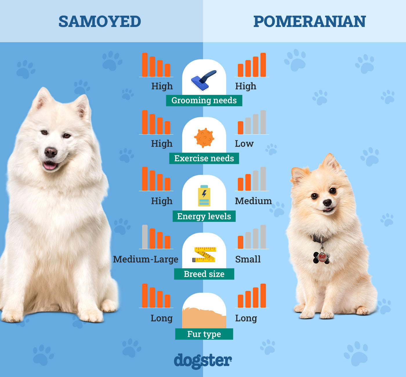Dogster_Side by Side Comparison_Samoyed vs Pomeranian