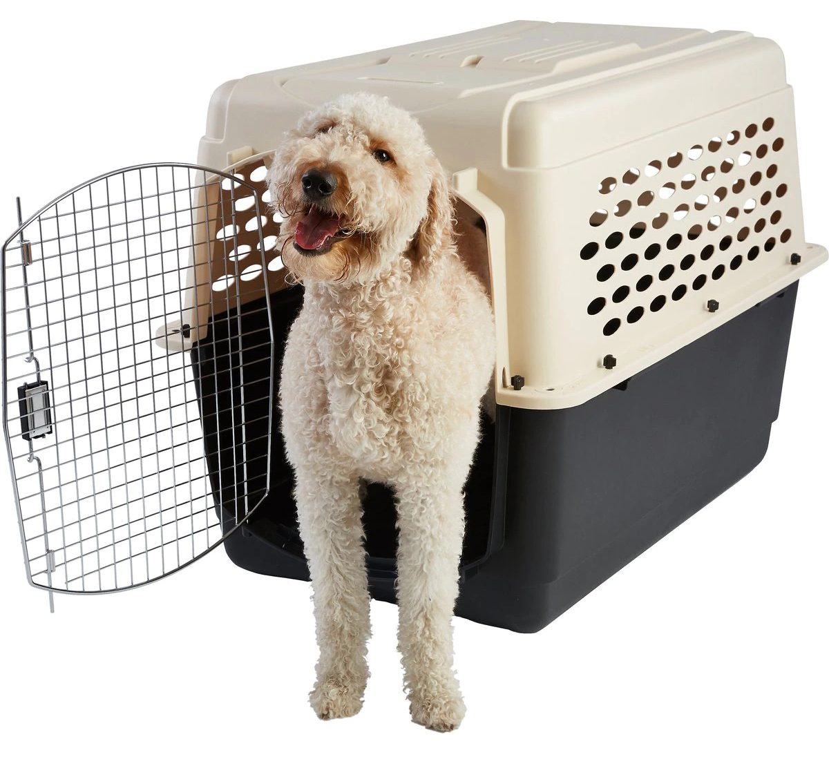 Frisco Plastic Dog and Cat Kennel