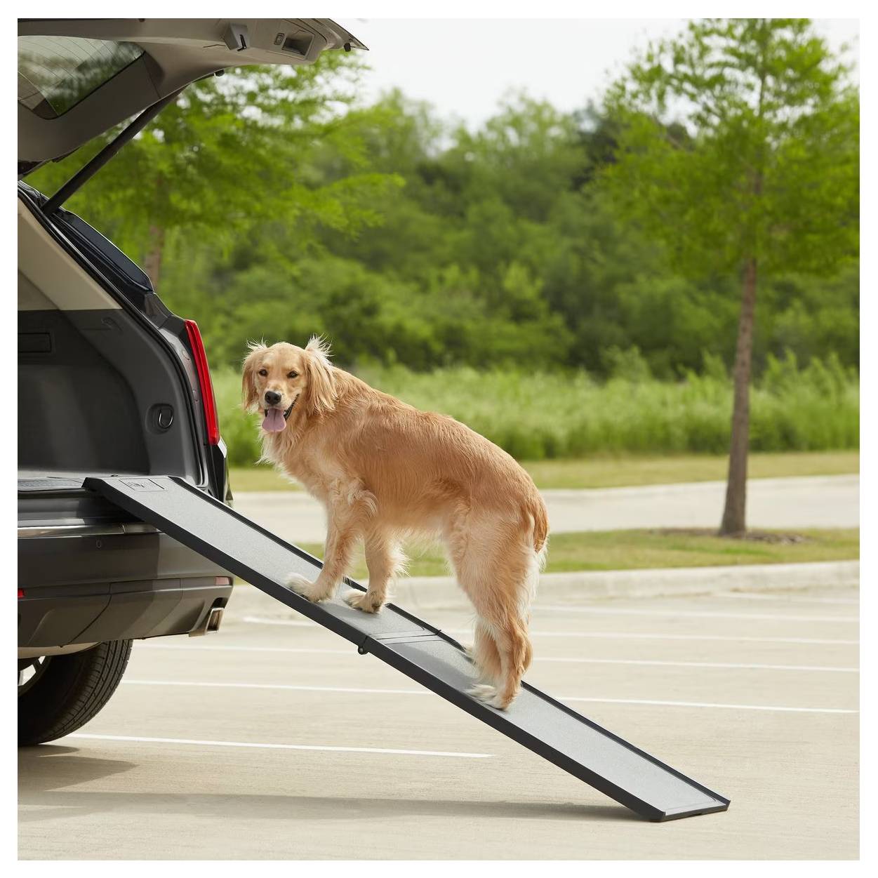 Gen7Pets Feather Lite Foldable Car Ramp