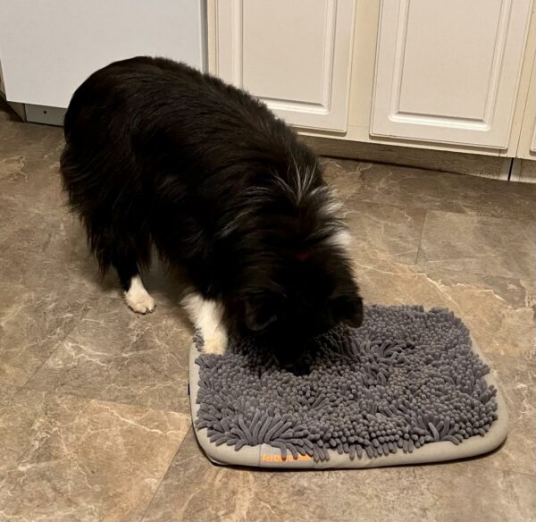 Murphy with snuffle mat