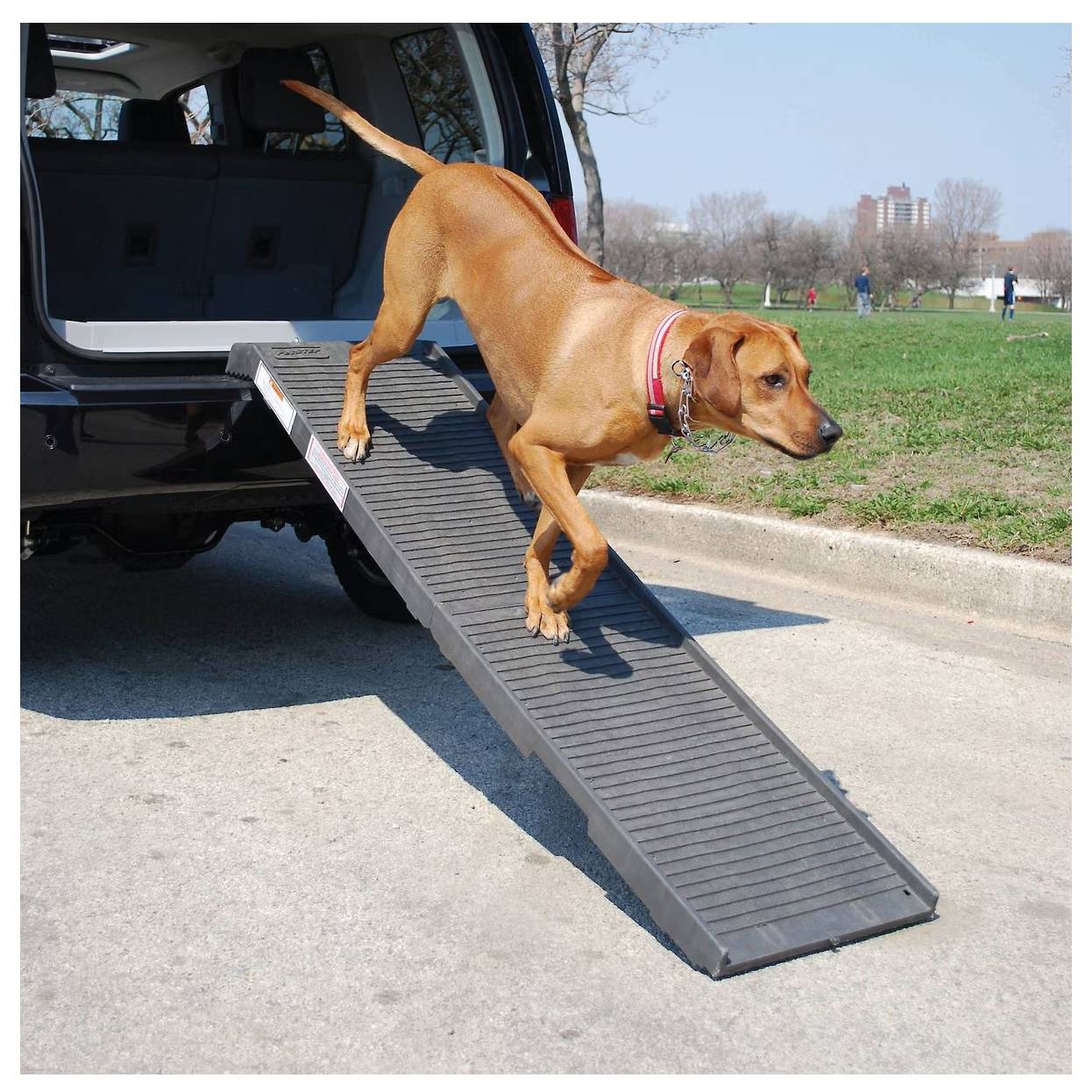 PetSTEP Folding Ramp