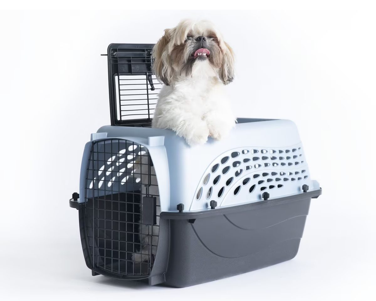 Petmate Two Door Top Load Dog and Cat Kennel