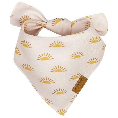 Remy+Roo Dog Bandanas