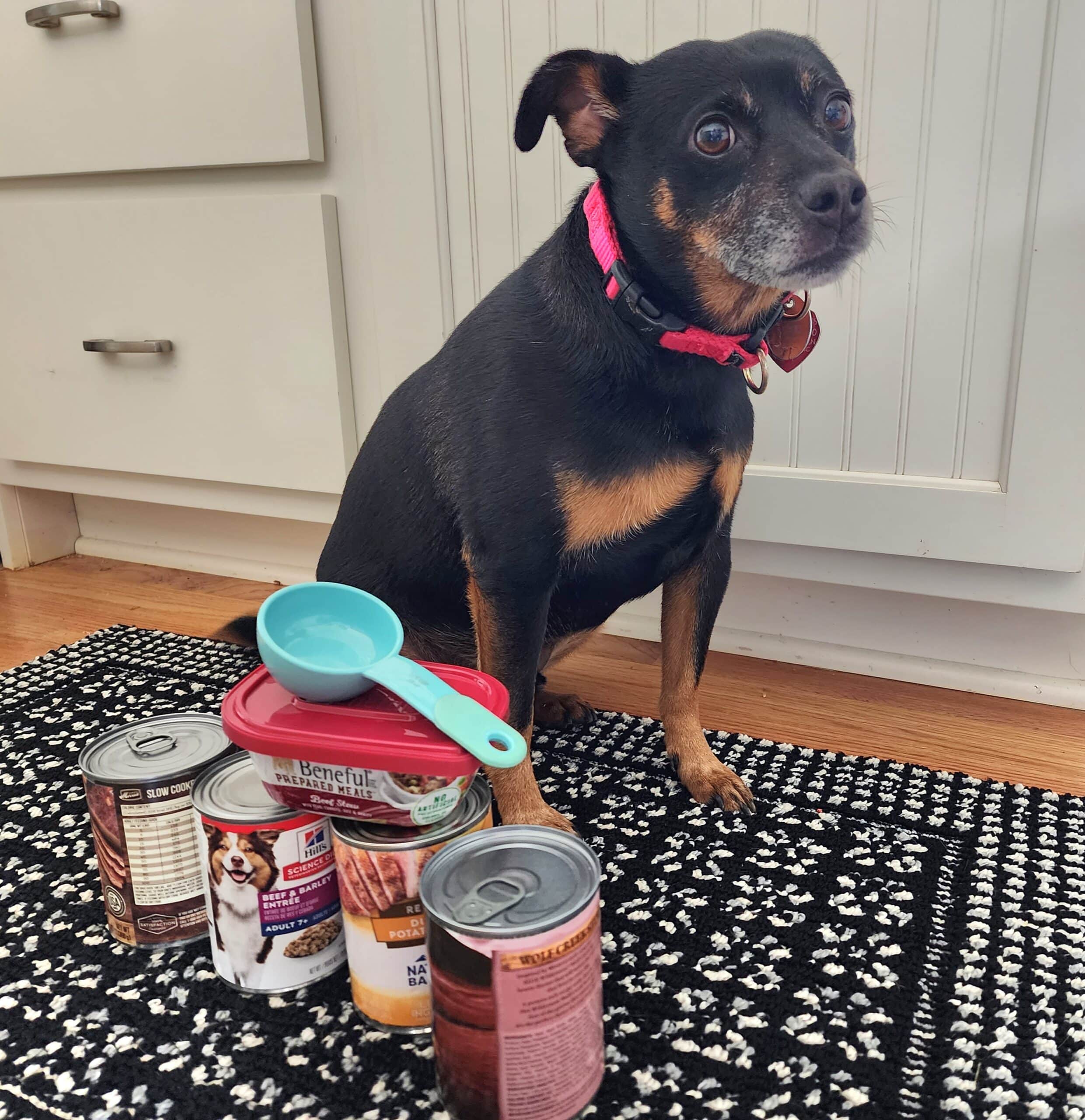 How Much Canned Food to Feed a Dog? Dogster