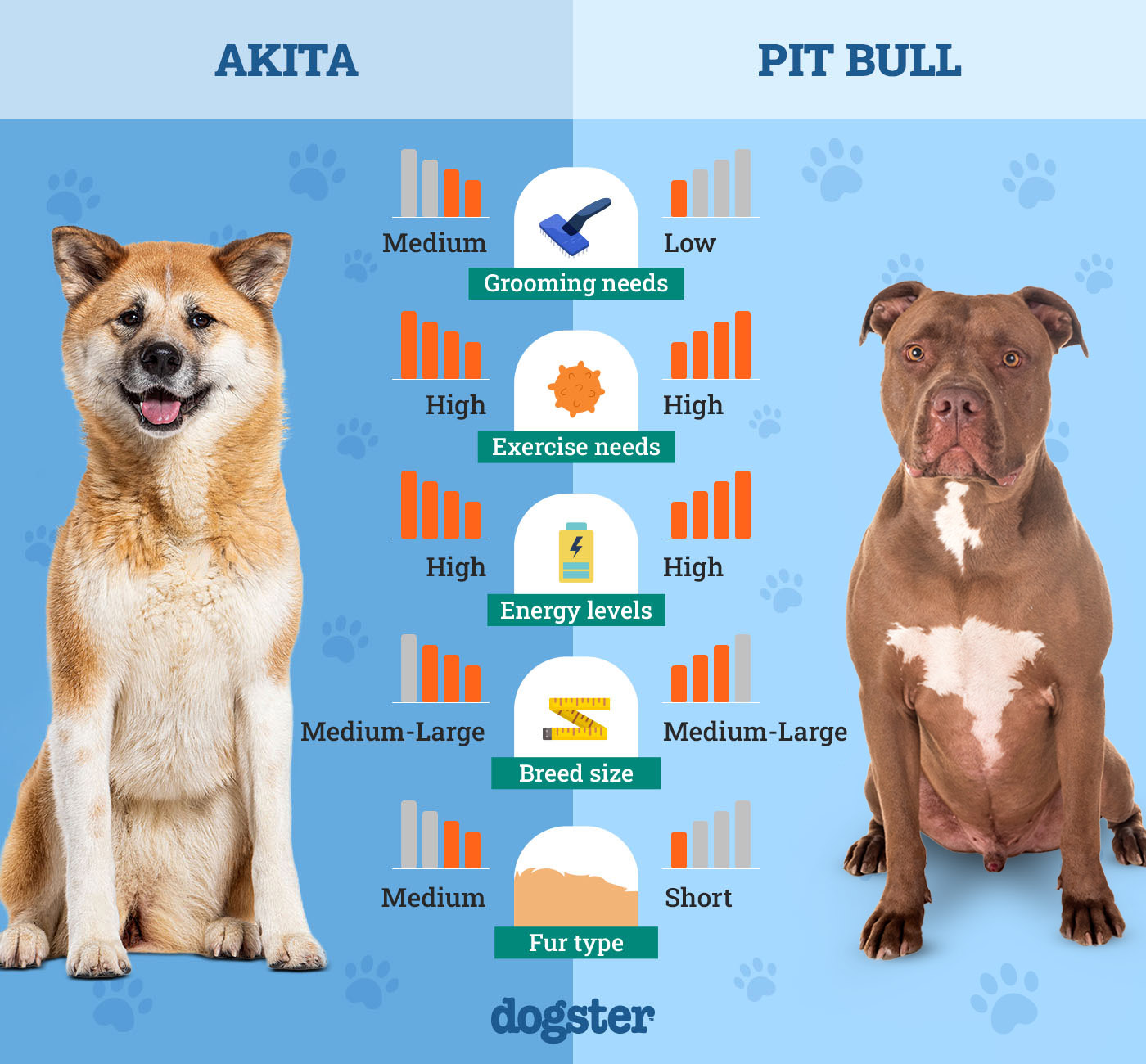 Dogster_Side by Side Comparison_Akita vs Pit Bull