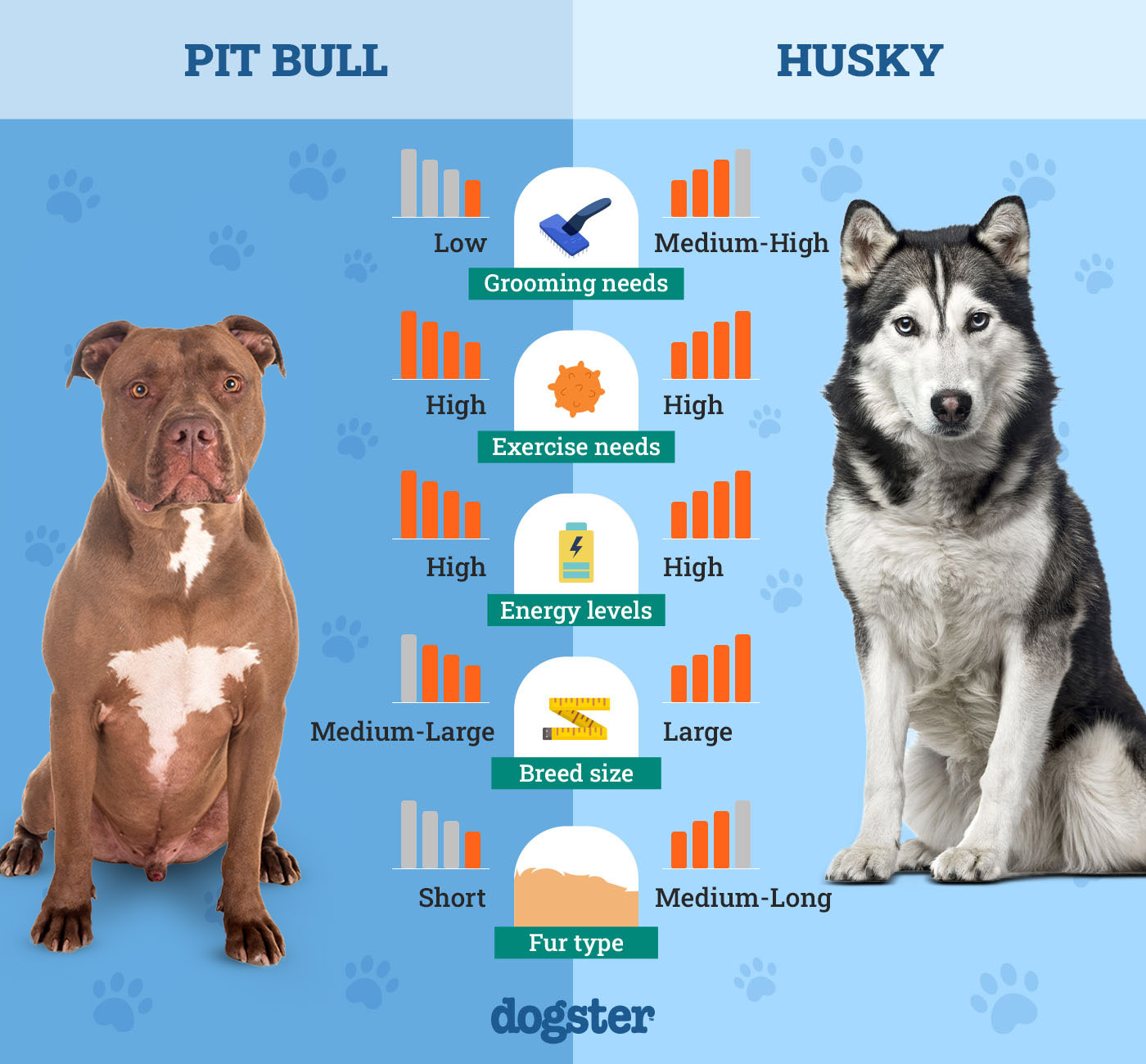 Dogster_Side by Side Comparison_Pit Bull vs Husky