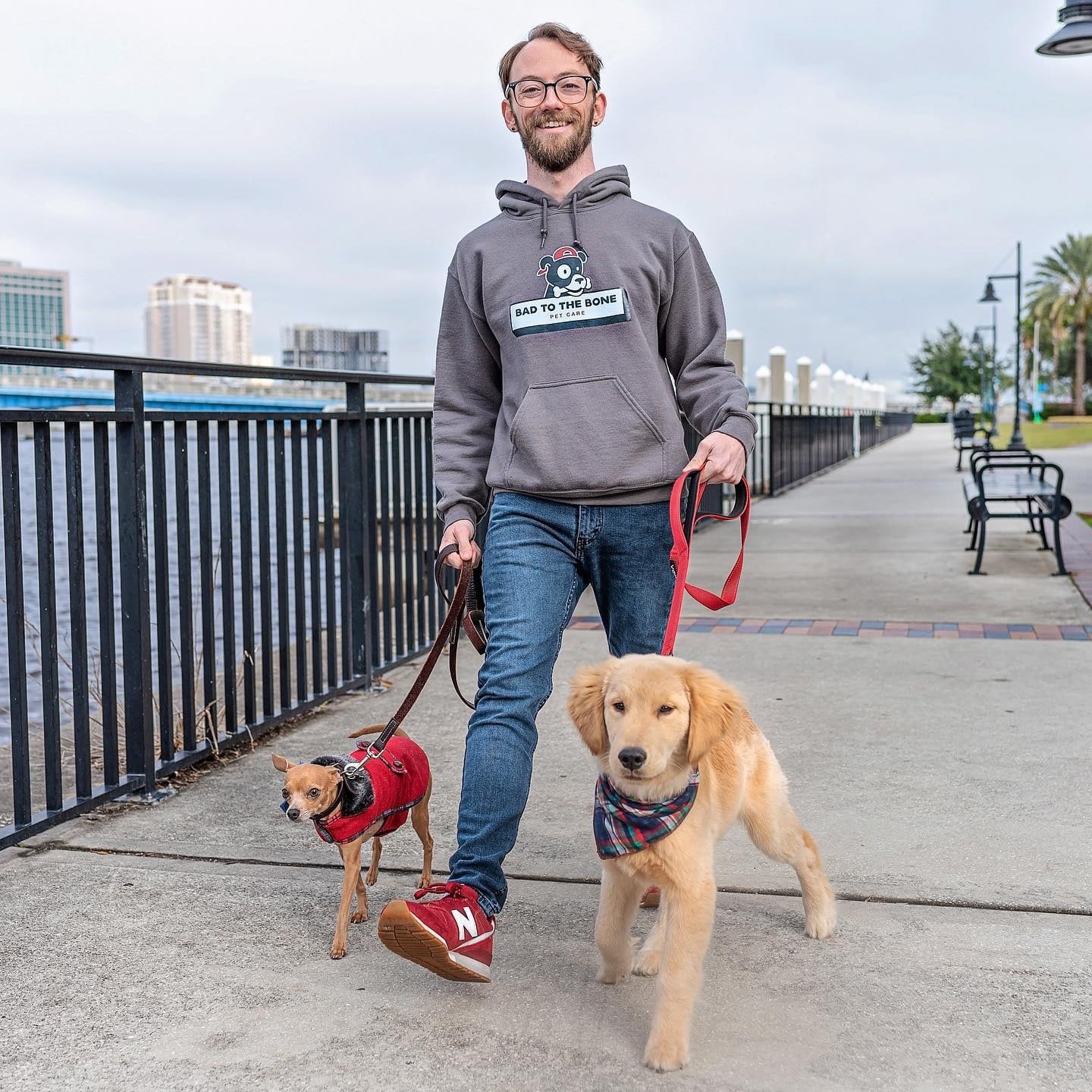 How to a Pet Sitter Dogster