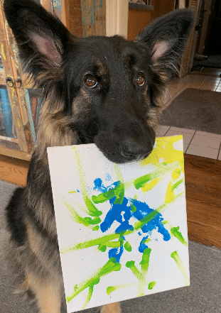 dog with artwork