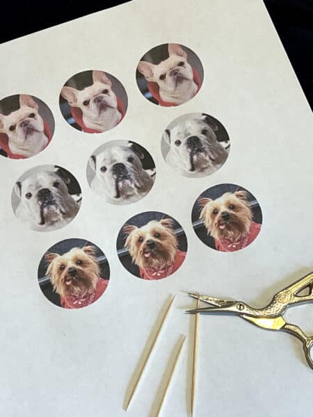 DIY Cupcake Toppers Using Cardstock and Stickers - One Dog Woof