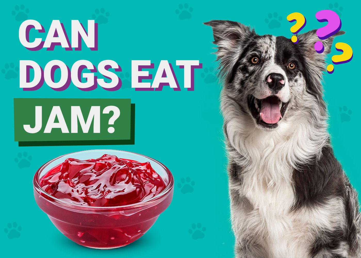 Can Dogs Eat_Jam