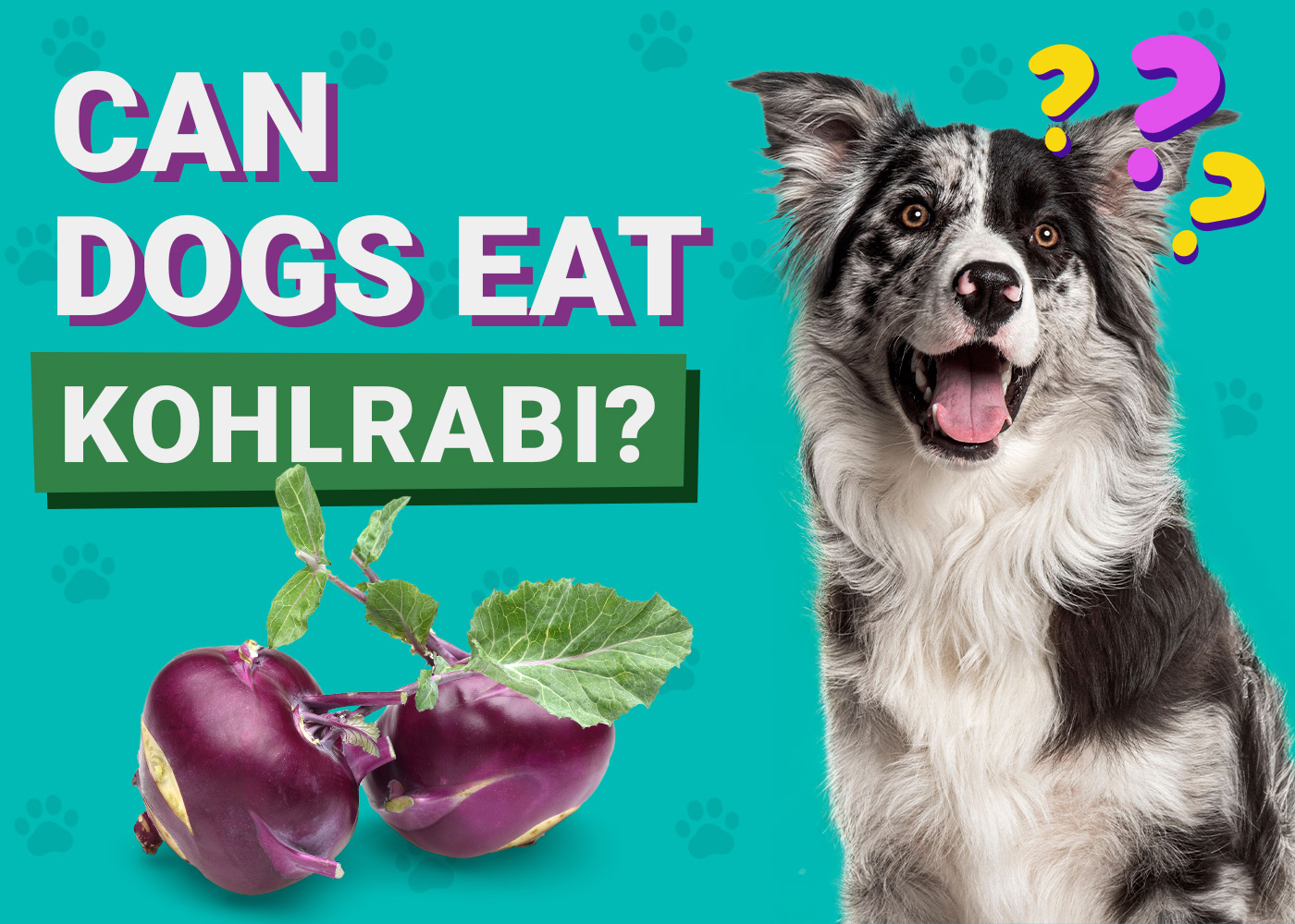 Can Dogs Eat_Kohlrabi