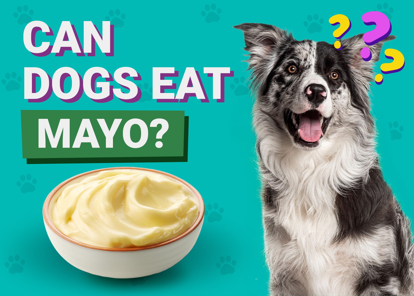 Can Dogs Eat_Mayo