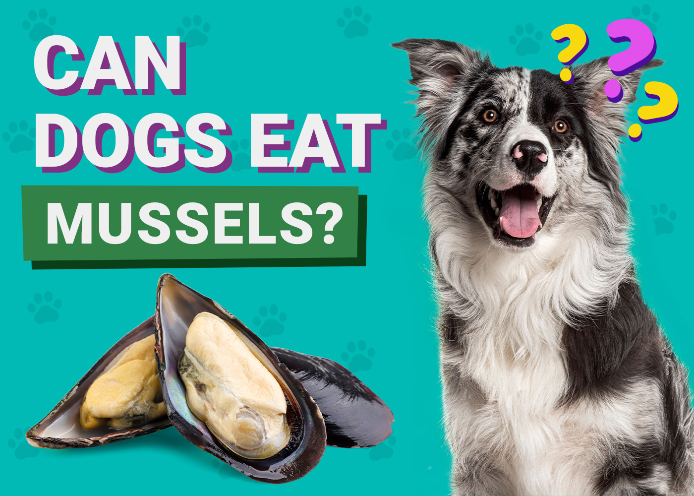 Can Dogs Eat_Mussels