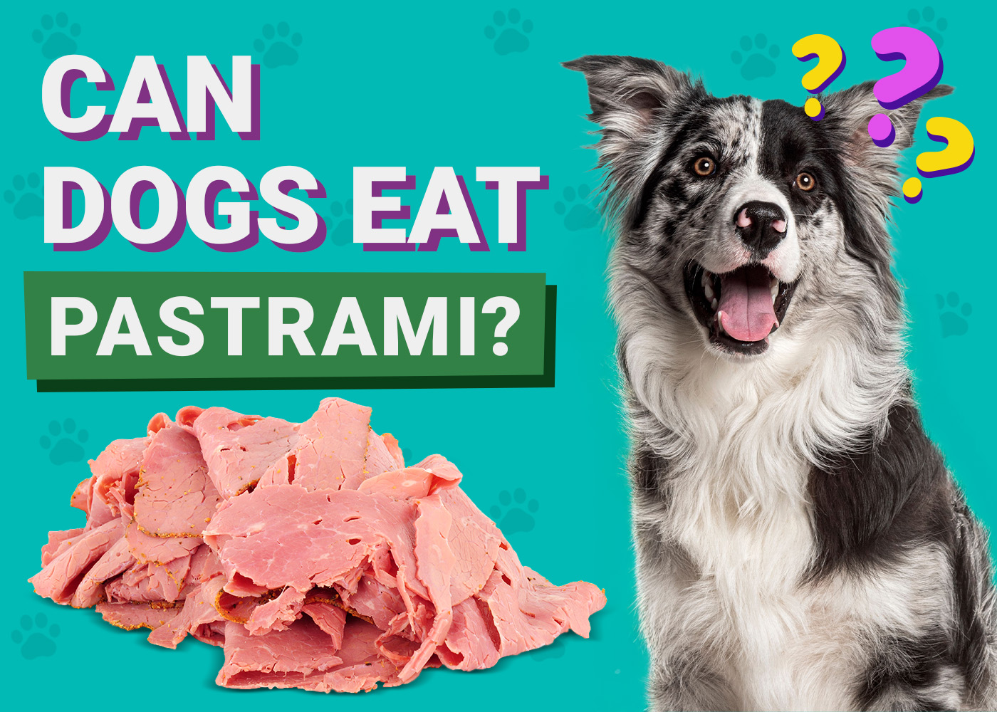 Can Dogs Eat_Pastrami