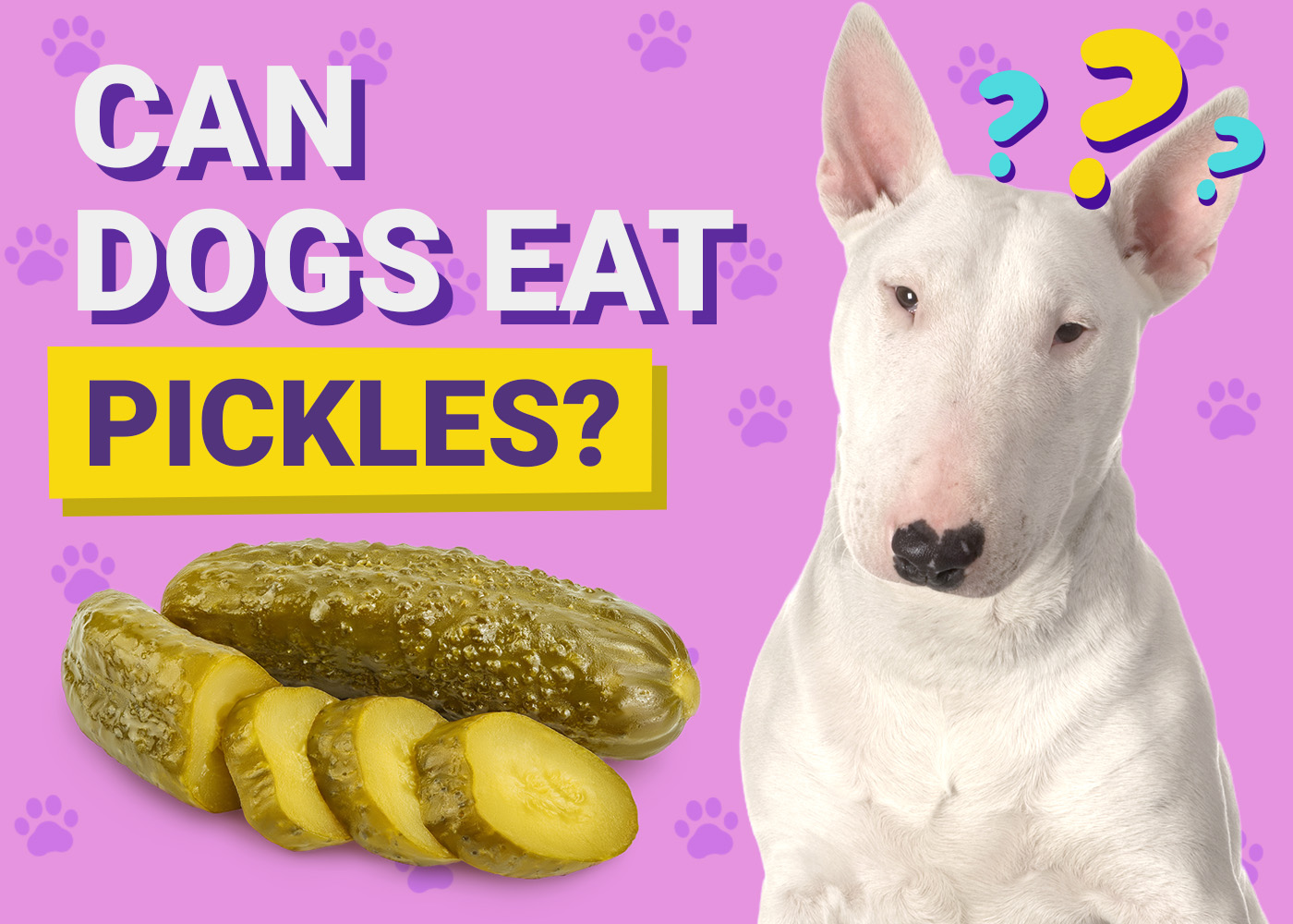Can Dogs Eat_Pickles