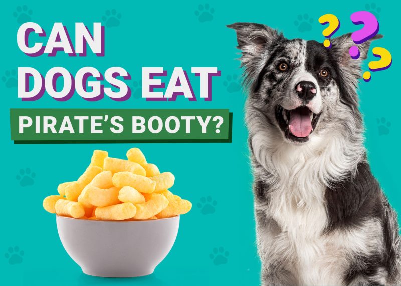 Can Dogs Eat_Pirates Booty