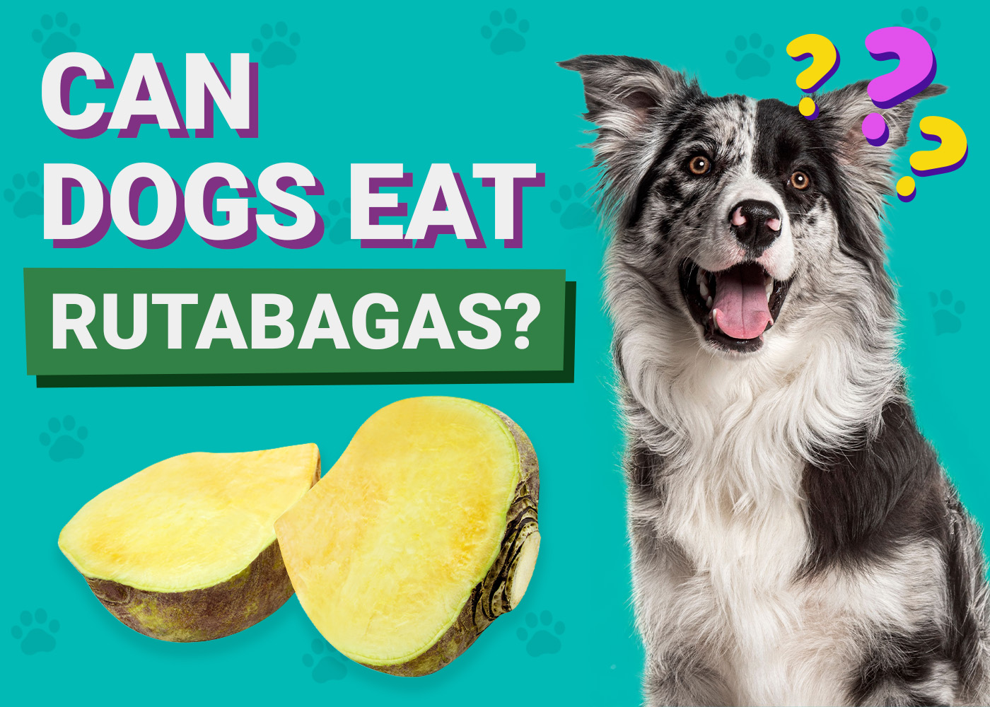 Can Dogs Eat_Rutabagas