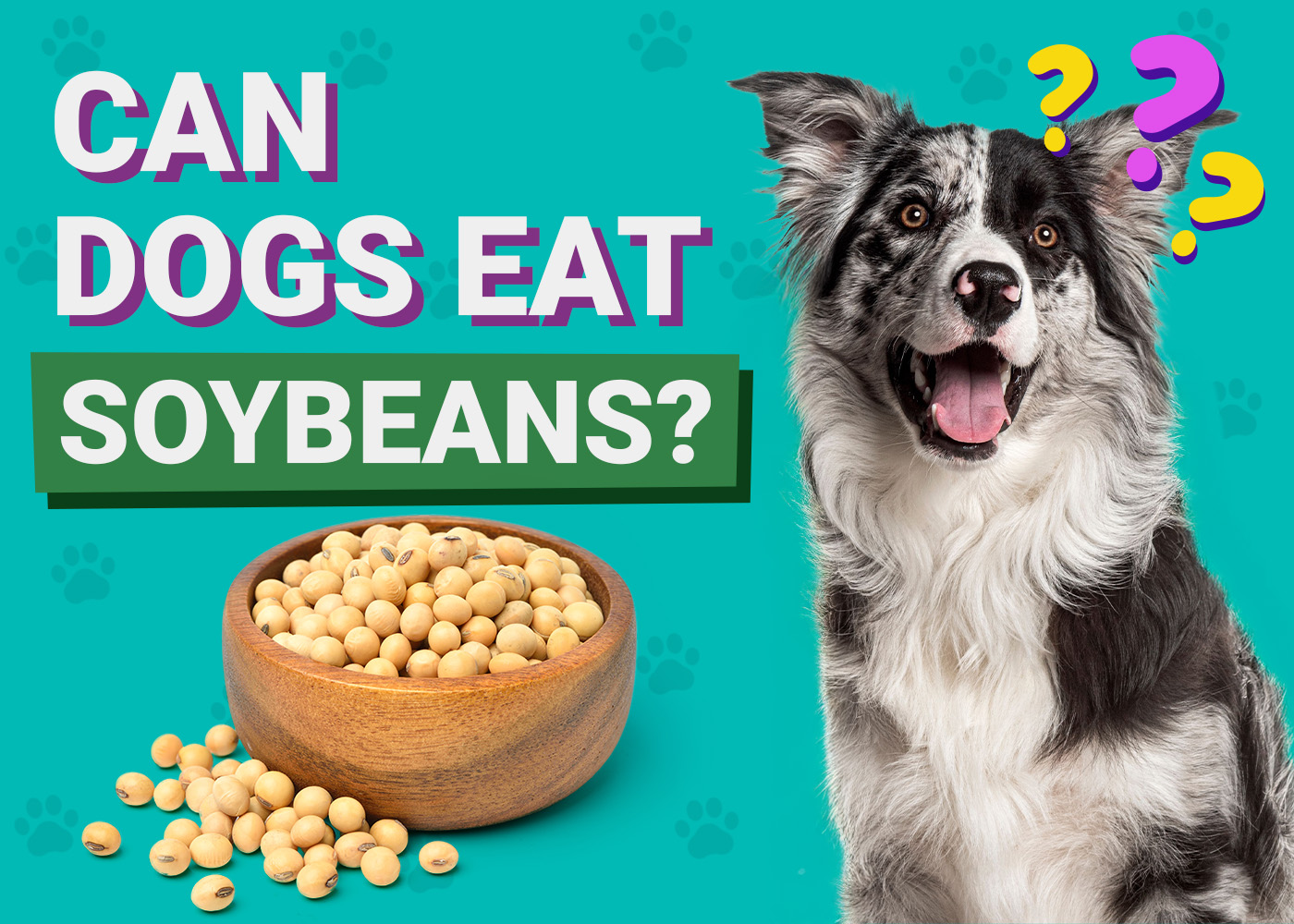 Can Dogs Eat_Soybeans