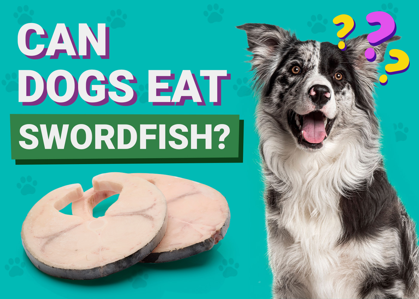 Can Dogs Eat_Swordfish