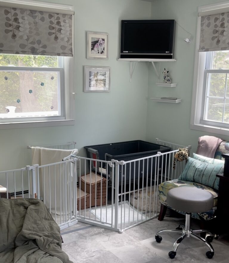 DIY Whelping Box You Can Make At Home Dogster