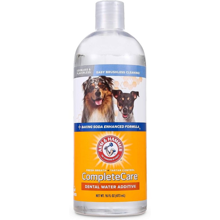 10 Best Dog Mouthwashes & Dental Rinses in 2024 Reviews & Top Picks Dogster