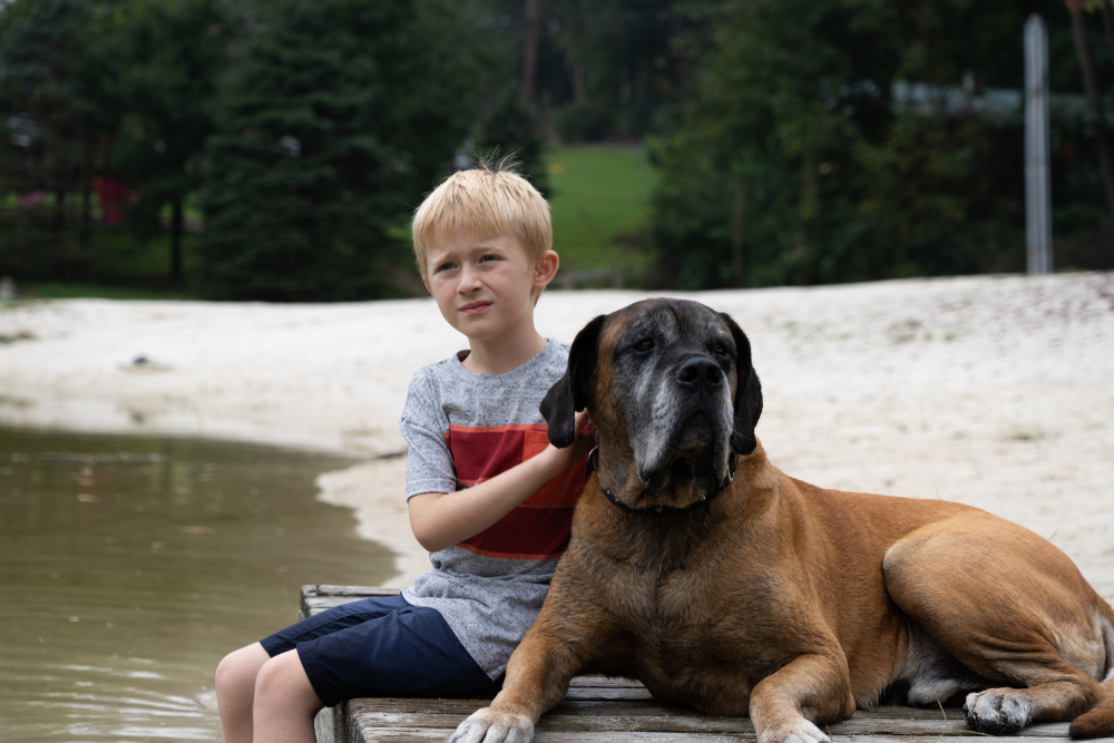 boy-sitting-by-the-lake-with-mastiff