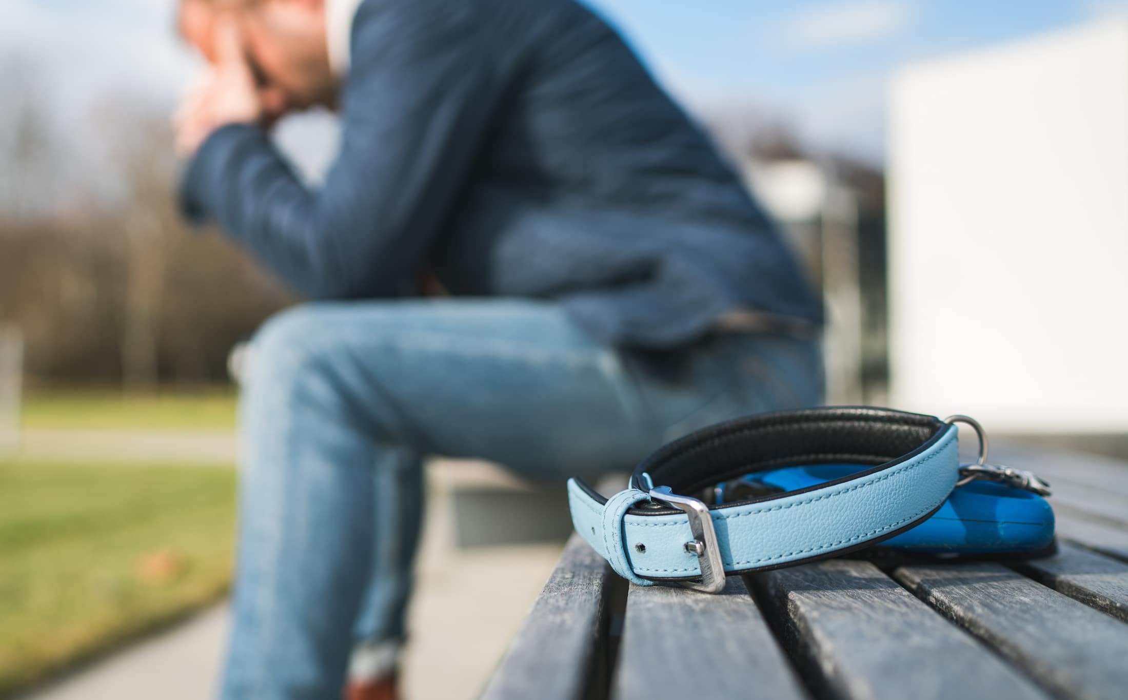 Broken with grief man dog owner is grieving sitting on a bench with the lovely pet collar and deep weeping about animal loss. Home pets relatives and love concept.