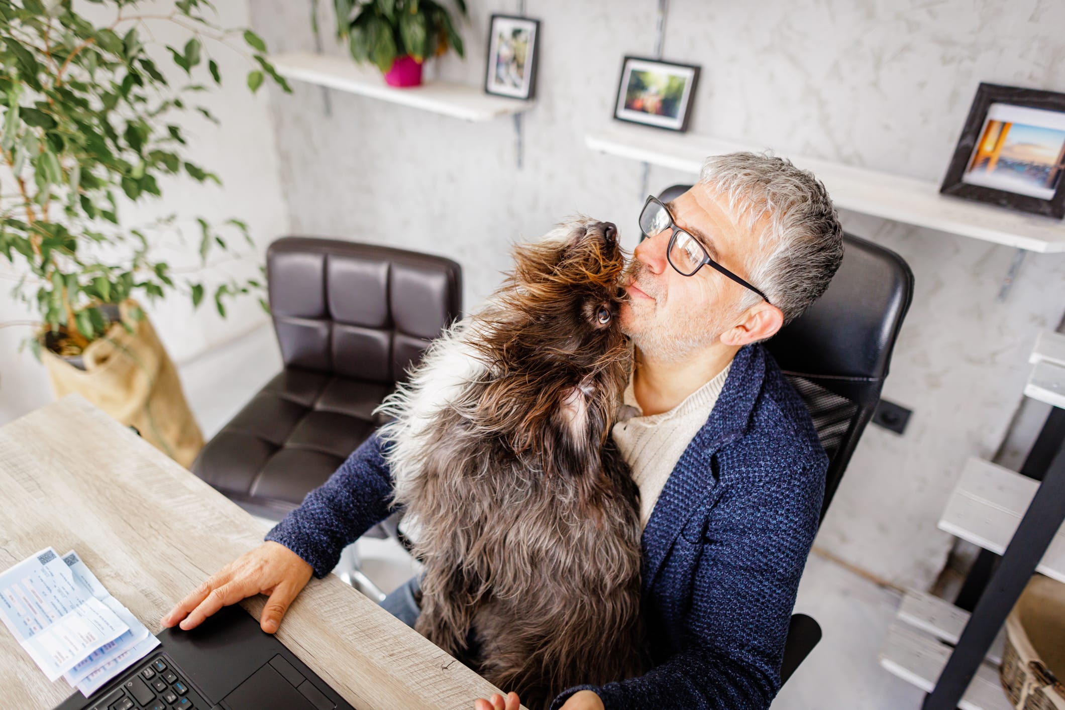 9 Velcro Dog Breeds (With Interesting Facts) Dogster