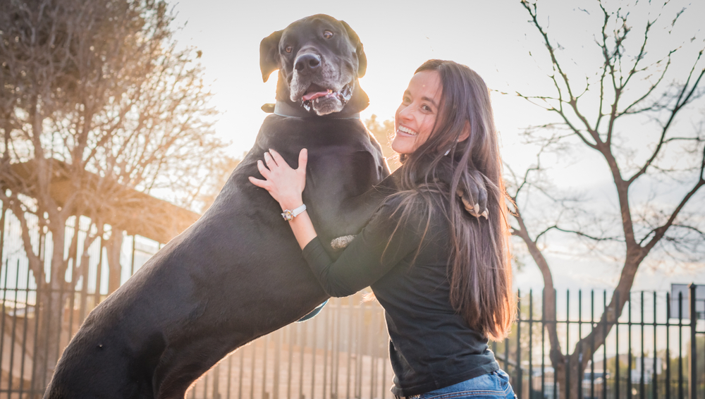 woman posing with her great dane dog outdoors