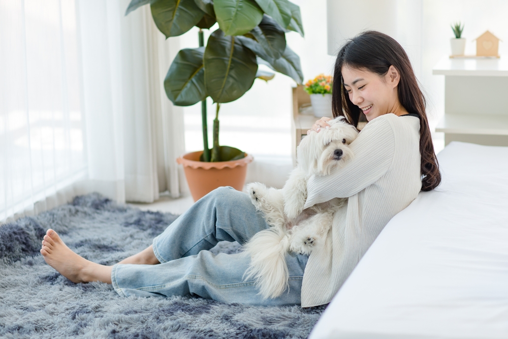 Asiatic women cuddlin with a maltese on a living room floor